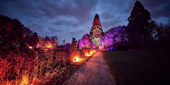 Festival Lanterna Magica - DR