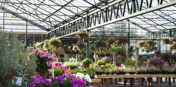 Pop-up plantes - ©Getty