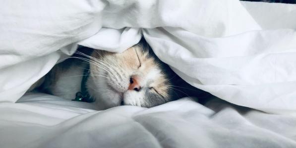 Sommeil - ©Unsplash