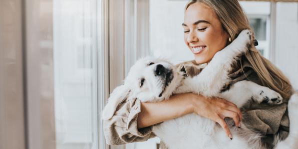 Chiens - Getty