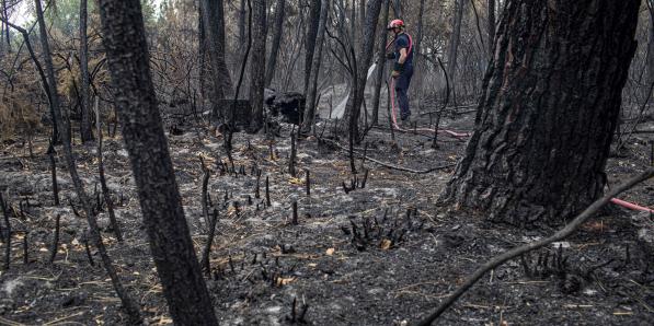 incendies gironde