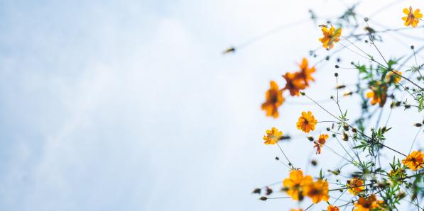 Hypersensibilité - Unsplash