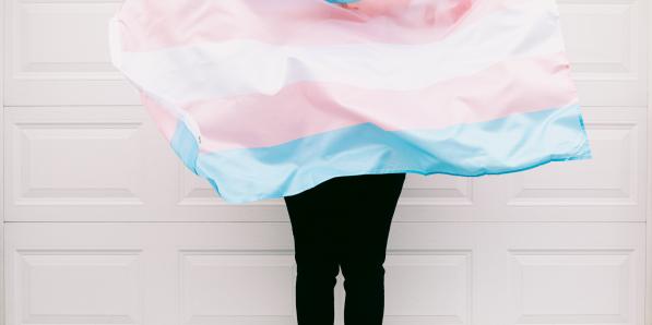 transgenres