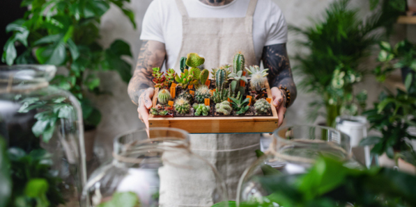 Plantes pour tous organise une méga vente à Liège DR Getty Images
