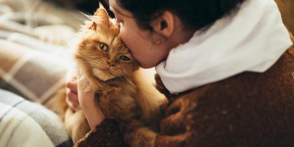 Chats préfèrent femmes - Getty