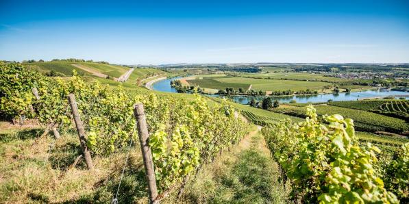 alt_Moselle luxembourgeoise - ©LFT_PulsaPictures