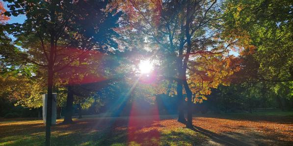 automne chaud chaleur