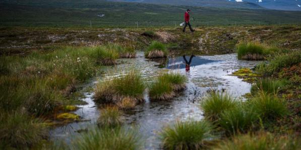 permafrost Zweden