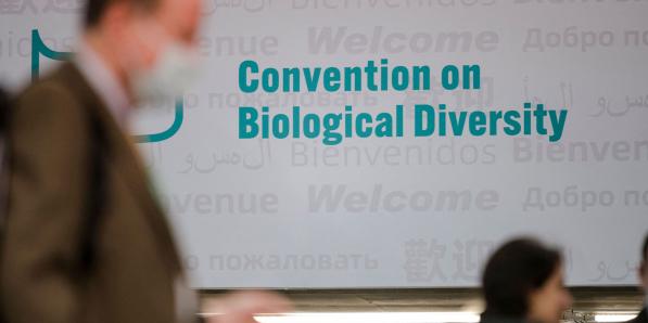 Cop 15 biodiversité