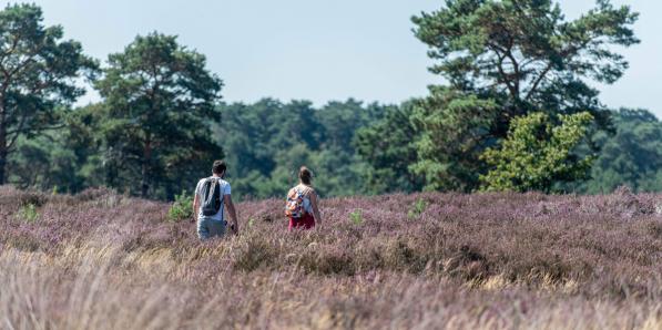 Kalmthout en août dernier