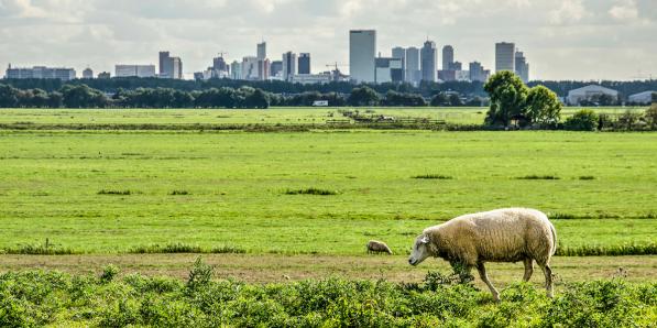 platteland stad