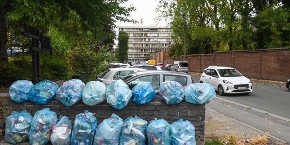 poubelles bleues