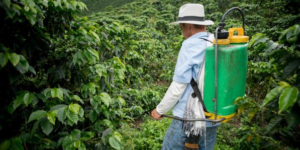 La Belgique exporte des tonnes de pesticides nocifs interdits en Europe