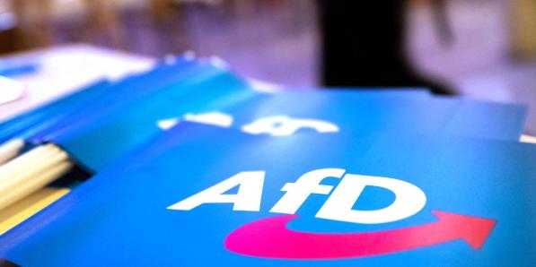 AfD logo