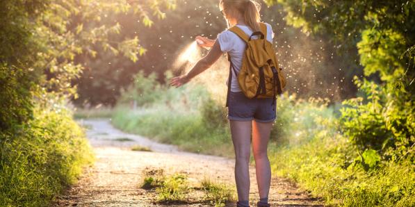 L’encéphalite à tiques, l’infection du randonneur susceptible d’entraîner une méningite