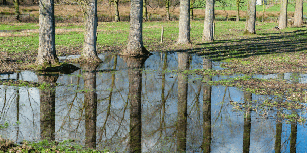 'Een bouwshift is nodig voor wateropvang bij hevige stortregens.'