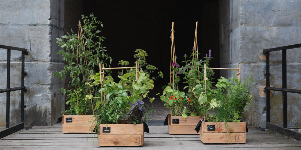 alt_potager