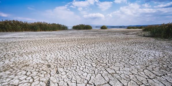 réchauffement climatique