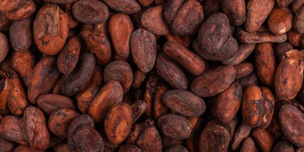 fèves de cacao