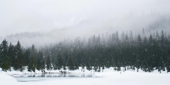 5 activités pour profiter de la neige en Belgique