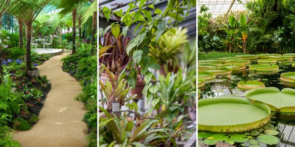 Serres et jardins botaniques en Belgique