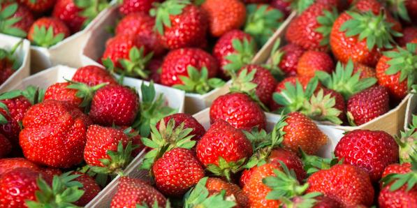 Comment reconnaître les bonnes fraises?