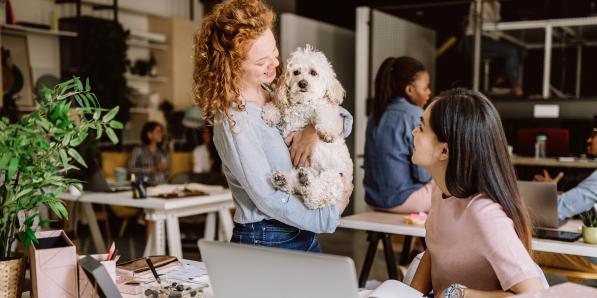 Conseils chien au bureau