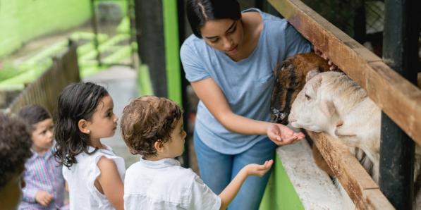 Bien-être animal école