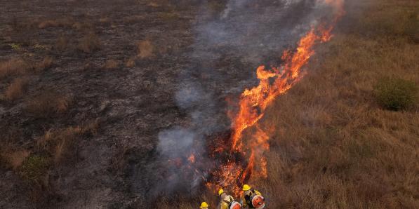 Déforestation au Brésil