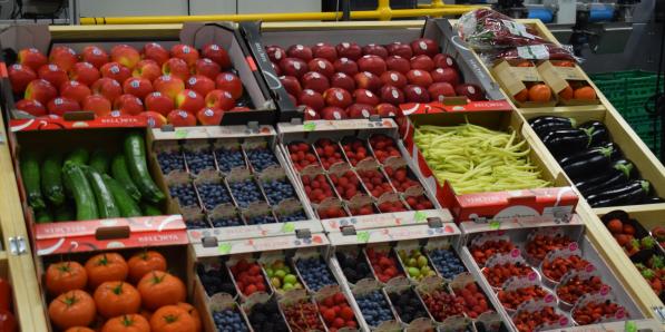 Fruits en Belgique