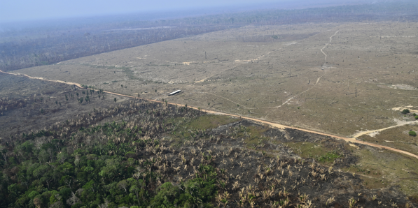 Déforestation en Amazonie