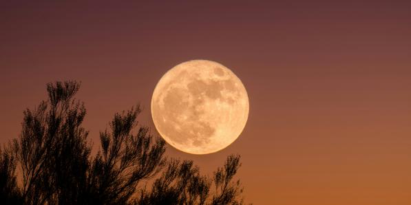 Pleine Lune novembre - Unsplash