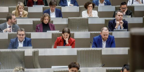 Het is niet de bedoeling dat Vlaamse Parlementsleden van de meerderheid steun zoeken bij de oppositiepartijen Vlaams Belang, Open VLD, Groen of PVDA