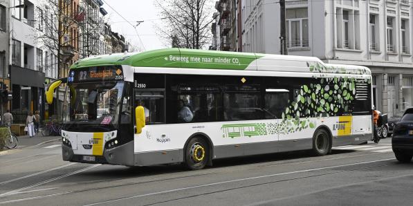 anvers bus
