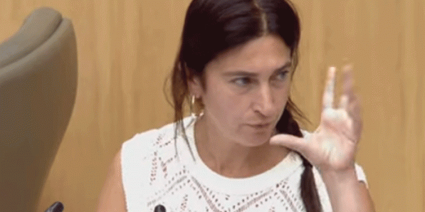 Zuhal Demir (N-VA) zegt 'zot' in het Vlaams Parlement