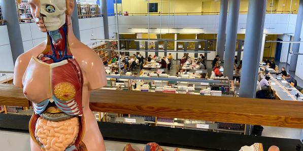 Concours médecine payant