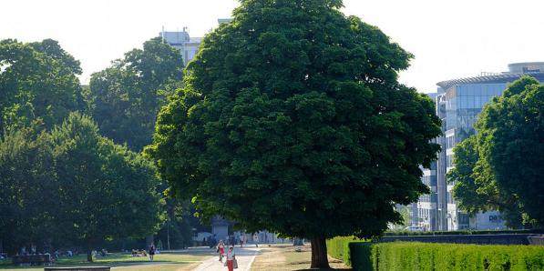 Park Brussel