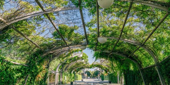 Barcelona groen in de stad