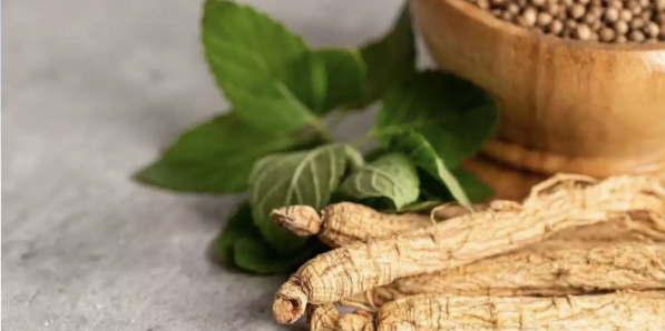 L'ashwagandha, cette plante aux nombreux bienfaits de plus en plus populaire en Europe