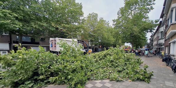 Bomen Deurne