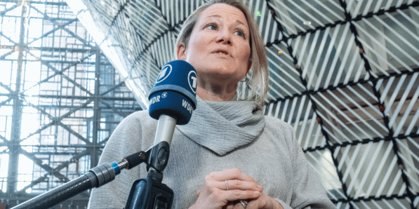 Anneleen Van Bossuyt (N-VA)