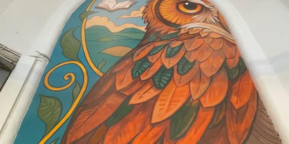 Bibliotheek gevangenis Leuven