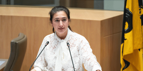 Zuhal Demir (N-VA) op woensdag. 'Als ik aan vriendjespolitiek zou doen, zou ik naar (de Limburgse hogeschool, red.) PXL gaan.'