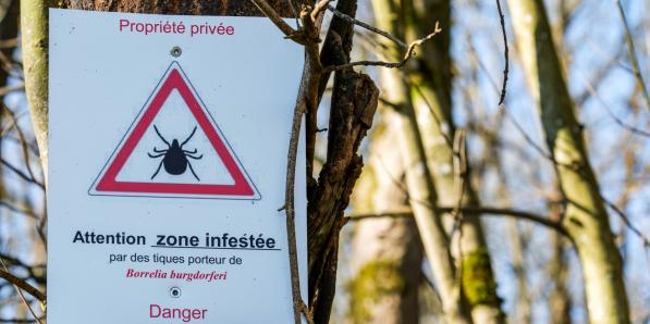 zone infestée de tiques