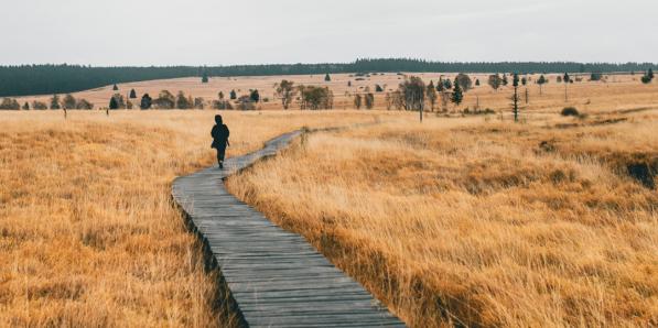 ardennen plekjes natuur