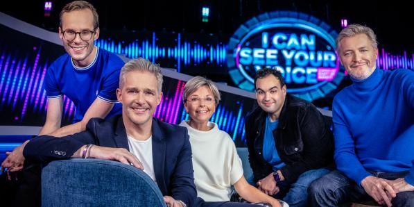 I can see your voice