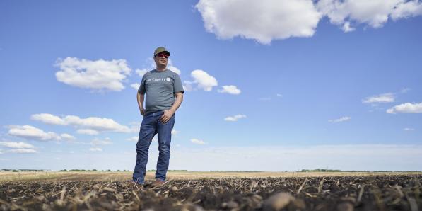 Ian Chitwood observe les petites pousses de canola (colza OGM canadien).