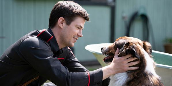 rescued by ruby trailer