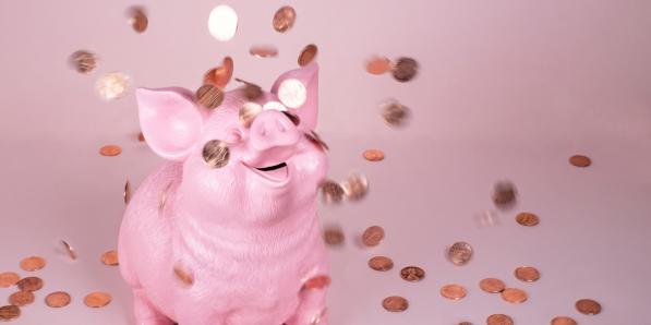 Dysmorphie financière