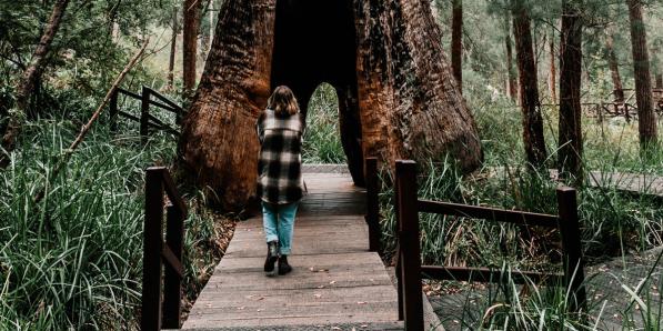 Instagramacounts wandelen